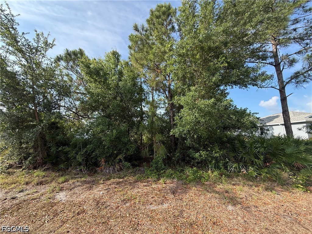 2607 26th Street SW Lehigh Acres FL 33976 2026022145 image9