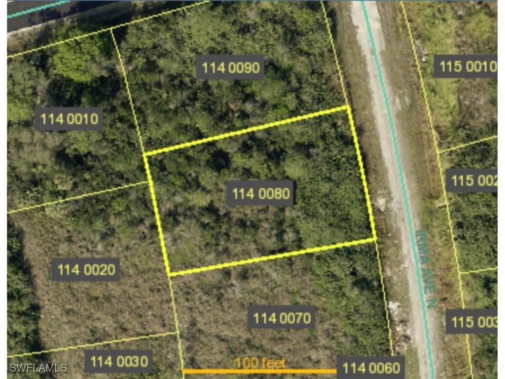 2607 Irma Avenue N Lehigh Acres FL 33971 225006253 image1
