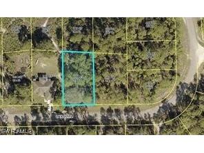 2610 Carol Place Lehigh Acres FL 33971 223043536 image1