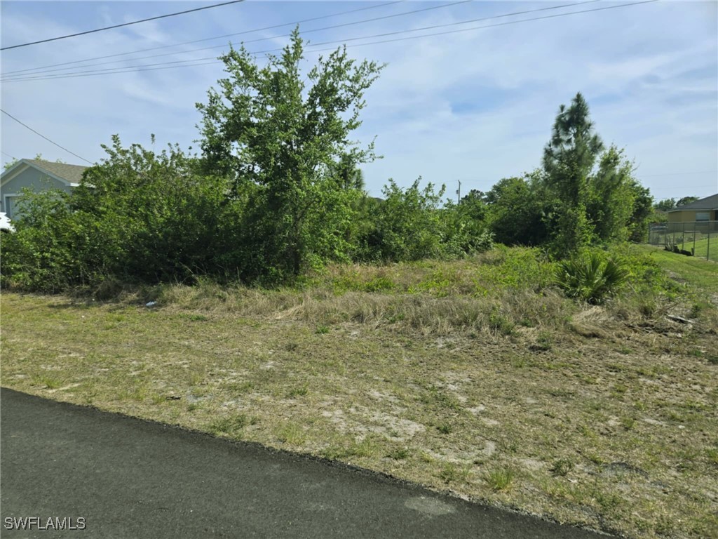 2611 2nd Street SW Lehigh Acres FL 33976 225030063 image1