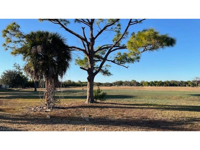 2611 NW 15th Street Cape Coral FL 33993 2026008236 image7