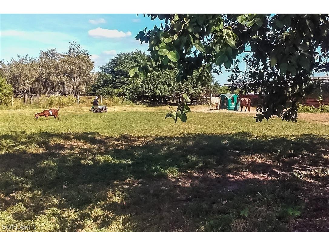 26118 Cutting Horse Lane Bonita Springs FL 34135 226010382 image8