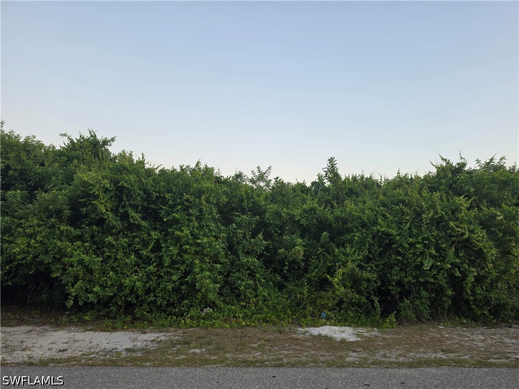 2615 5th Street SW Lehigh Acres FL 33976 226021154 image1