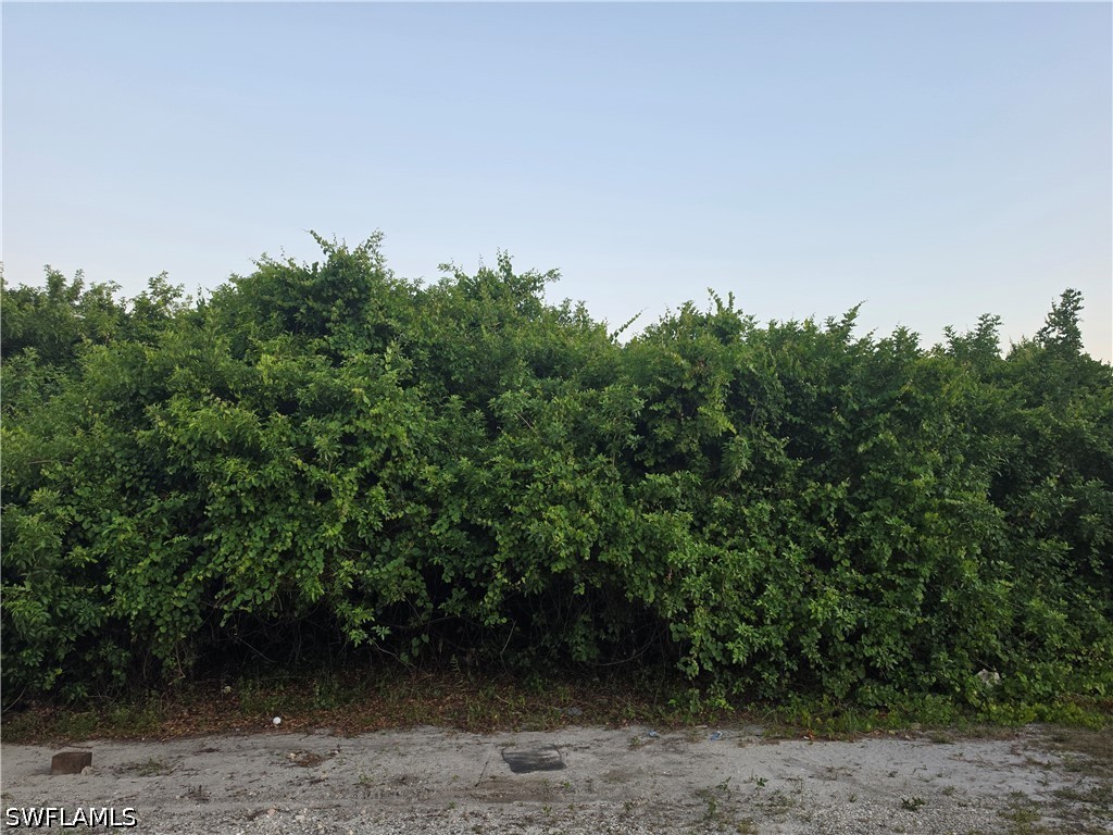 2615 5th Street SW Lehigh Acres FL 33976 226021154 image4