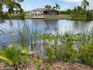 2615 SW 2nd Terrace Cape Coral FL 33991 223051674 image4