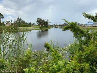 2615 SW 2nd Terrace Cape Coral FL 33991 223051674 image6