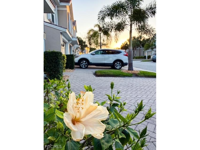 2616 Somerville Loop #2108 Cape Coral FL 33991 2026012537 image20