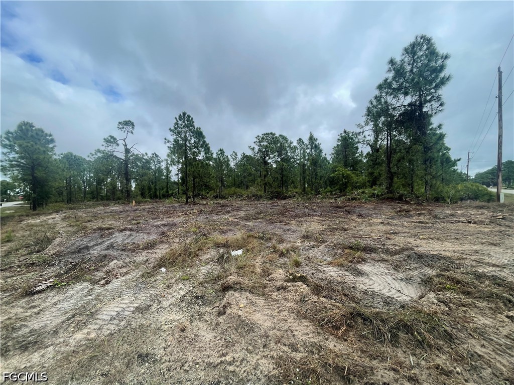2619 18th Street W Lehigh Acres FL 33971 224055347 image6
