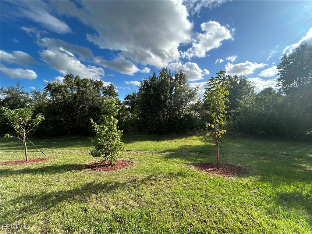 26209 Madras Court Punta Gorda FL 33983 2025021519 image30