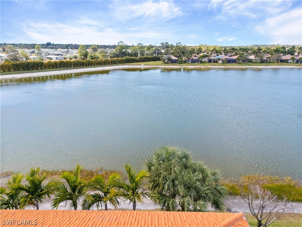 26213 Palace Lane #202 Bonita Springs FL 34135 226006738 image28