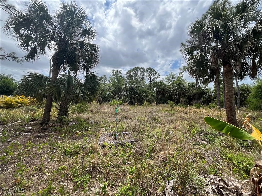 26219 Flower Road Punta Gorda FL 33955 2025013633 image2