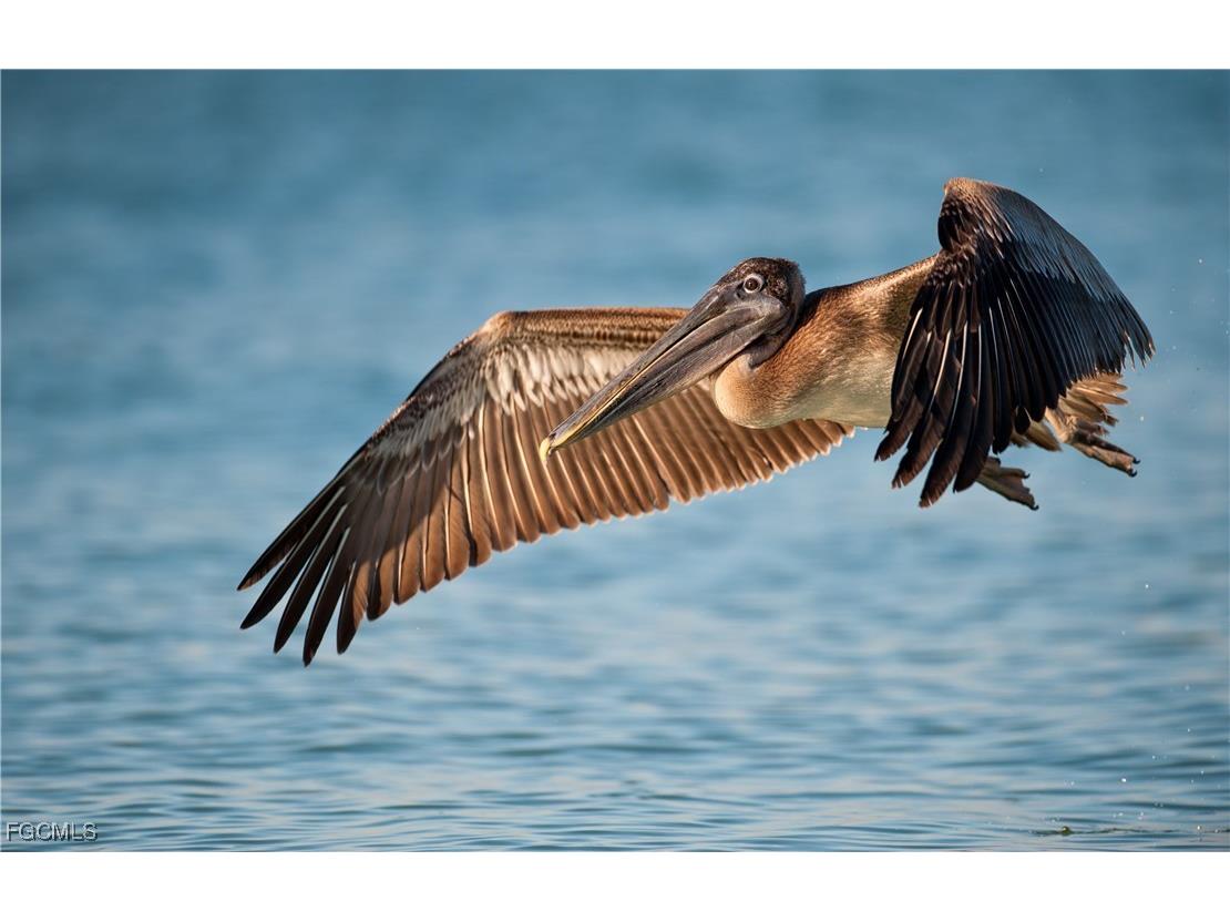 2623 Beach Villas Captiva FL 33924 2025005706 image47