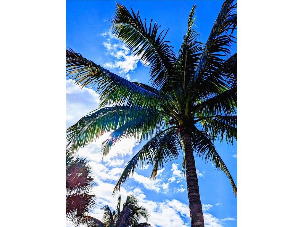 2623 Somerville Loop #508 Cape Coral FL 33991 2025026079 image29