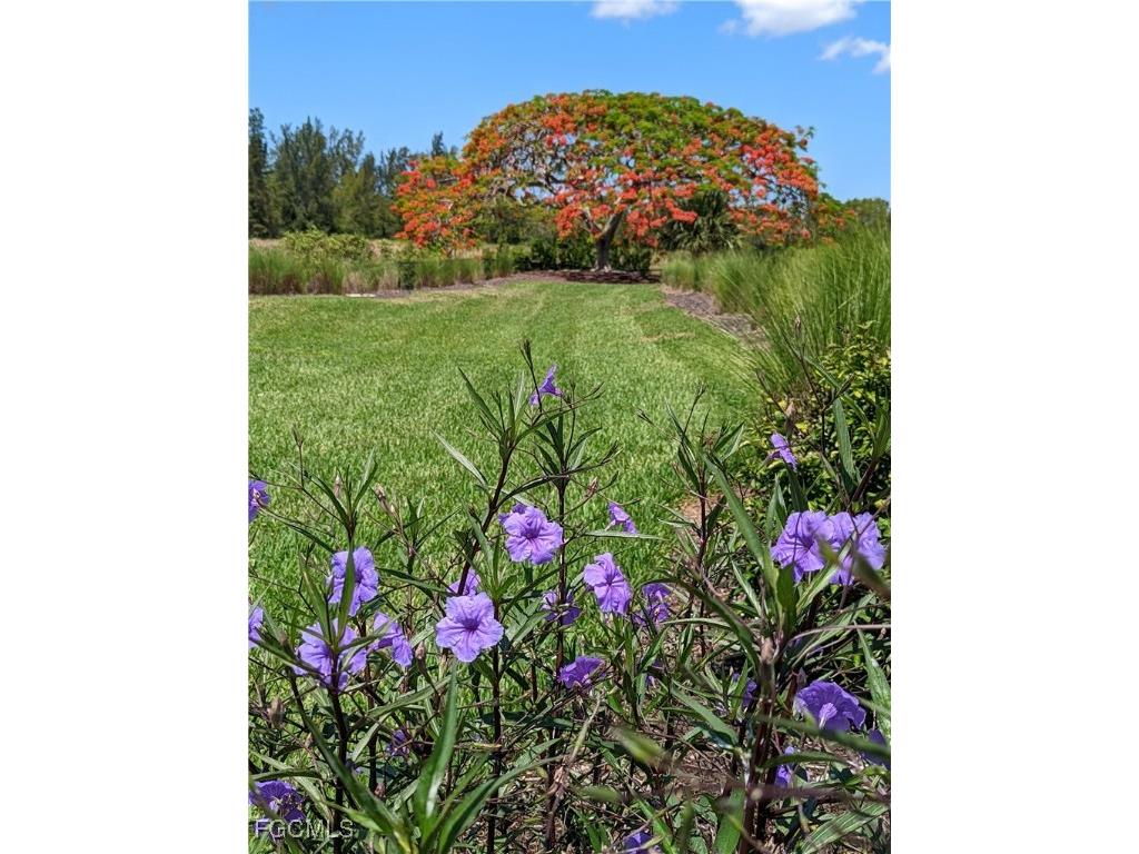 2623 Somerville Loop #508 Cape Coral FL 33991 2025026079 image35