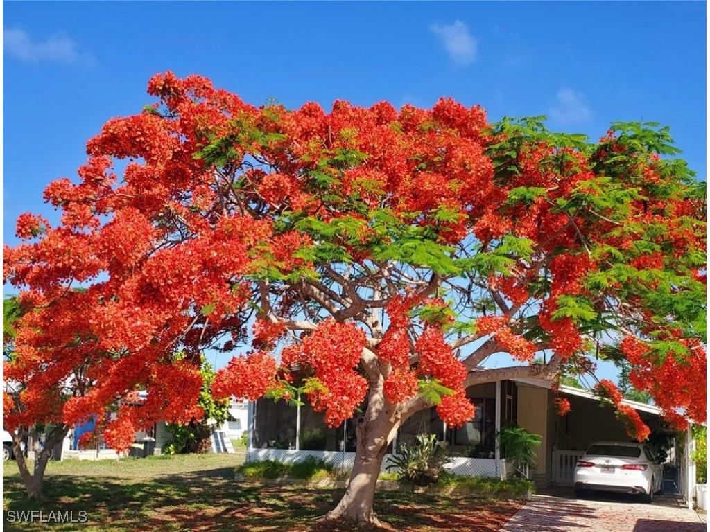 26257 Queen Mary Lane Bonita Springs FL 34135 226004239 image1