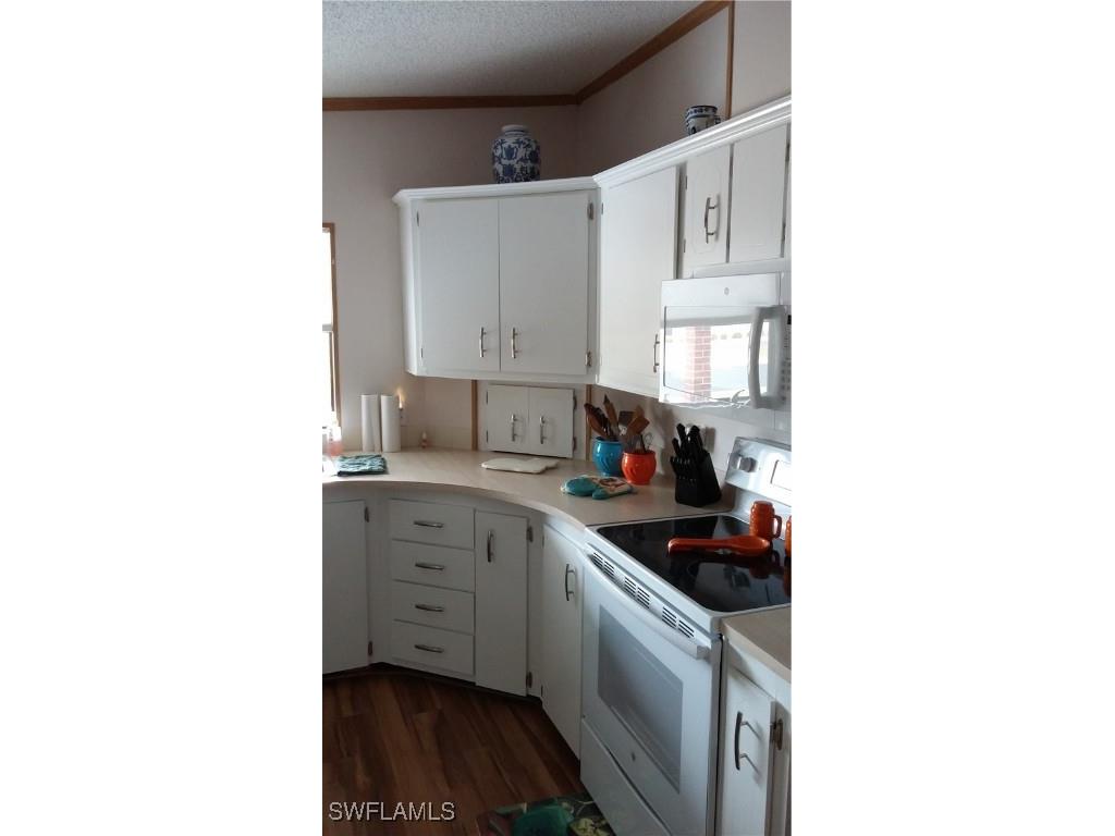 26284 Raleigh Drive Bonita Springs FL 34135 225037993 image5