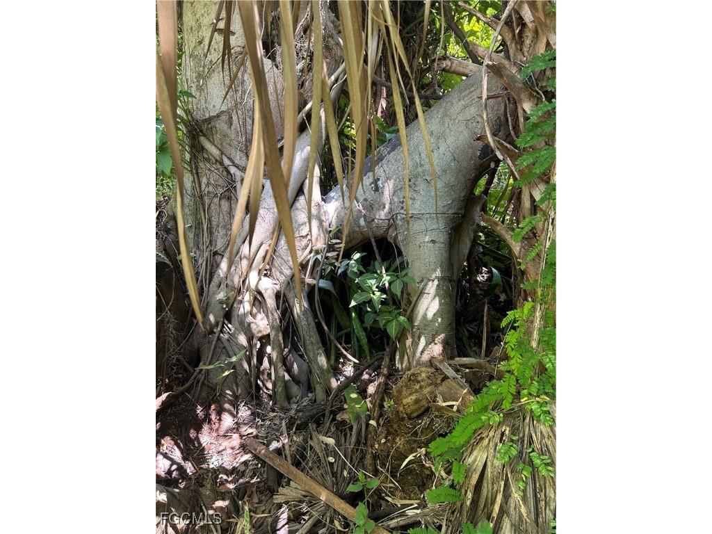 263 Kingston Drive Fort Myers FL 33905 2025010679 image24