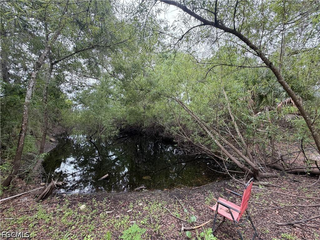 2630 Bee Branch Lakes Drive Labelle FL 33935 2026024192 image34