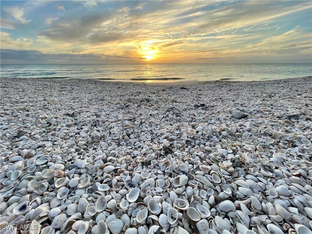 26300 Hickory Boulevard #1005 Bonita Springs FL 34134 226002687 image36