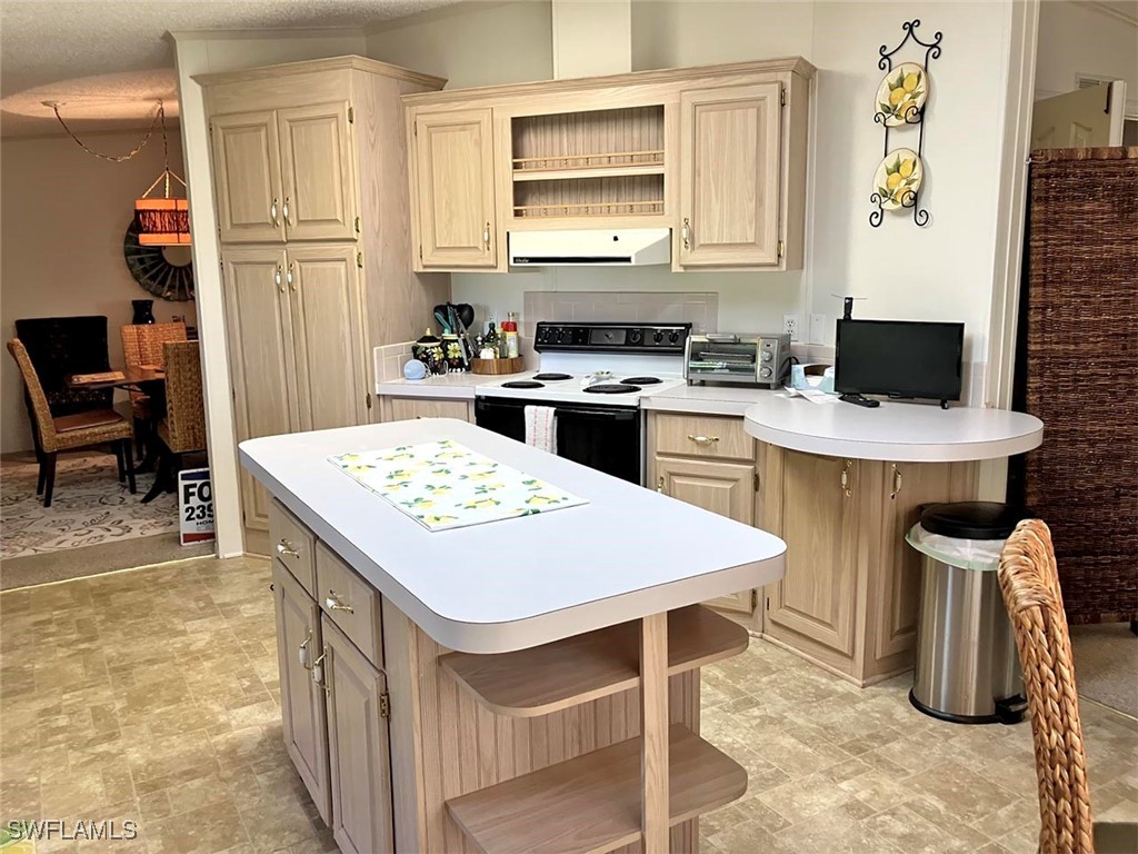 26303 Atlanta Drive Bonita Springs FL 34135 225079181 image9