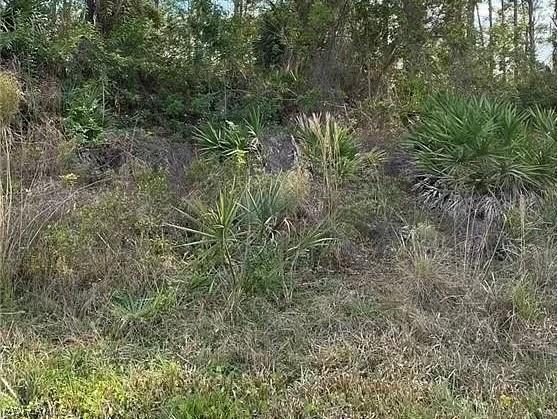 2633 Jacobs Street Port Charlotte FL 33953 223091449 image1