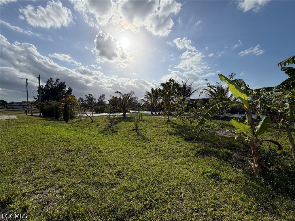 2633 NW 24th Street Cape Coral FL 33993 2026029116 image20