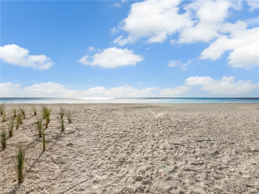 26340 Hickory Boulevard #902 Bonita Springs FL 34134 2026003312 image24