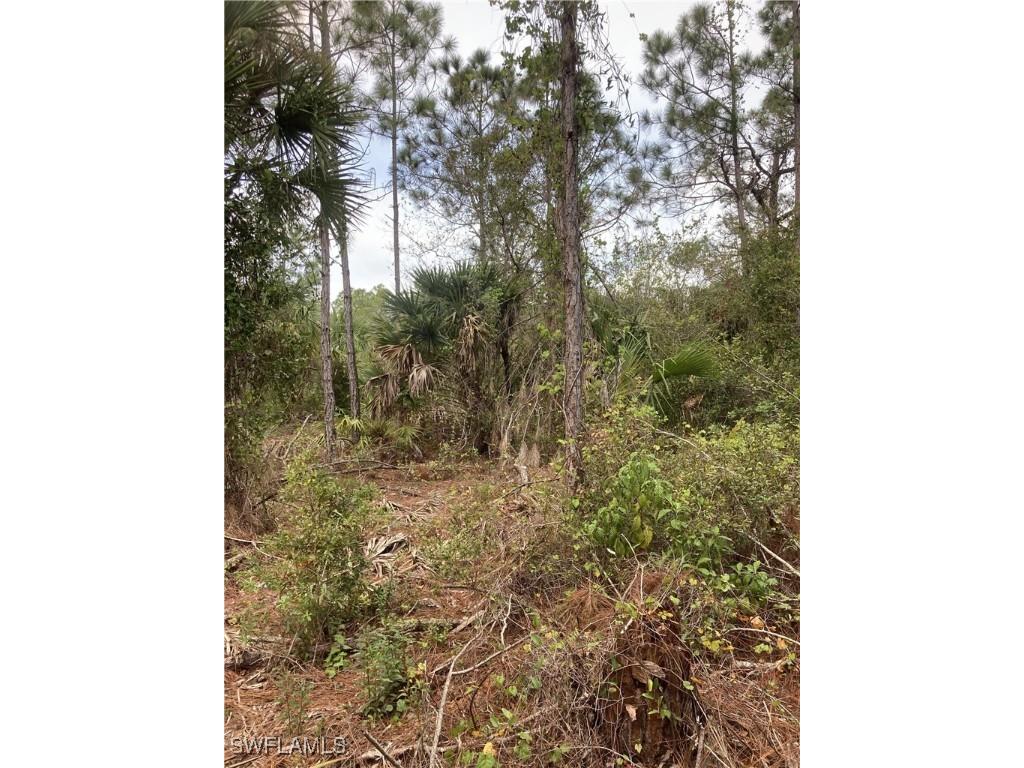 26373 & 26377 Deer Road Punta Gorda FL 33955 224071088 image10