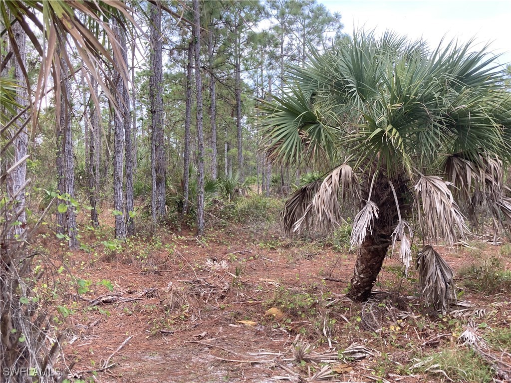 26373 & 26377 Deer Road Punta Gorda FL 33955 224071088 image11
