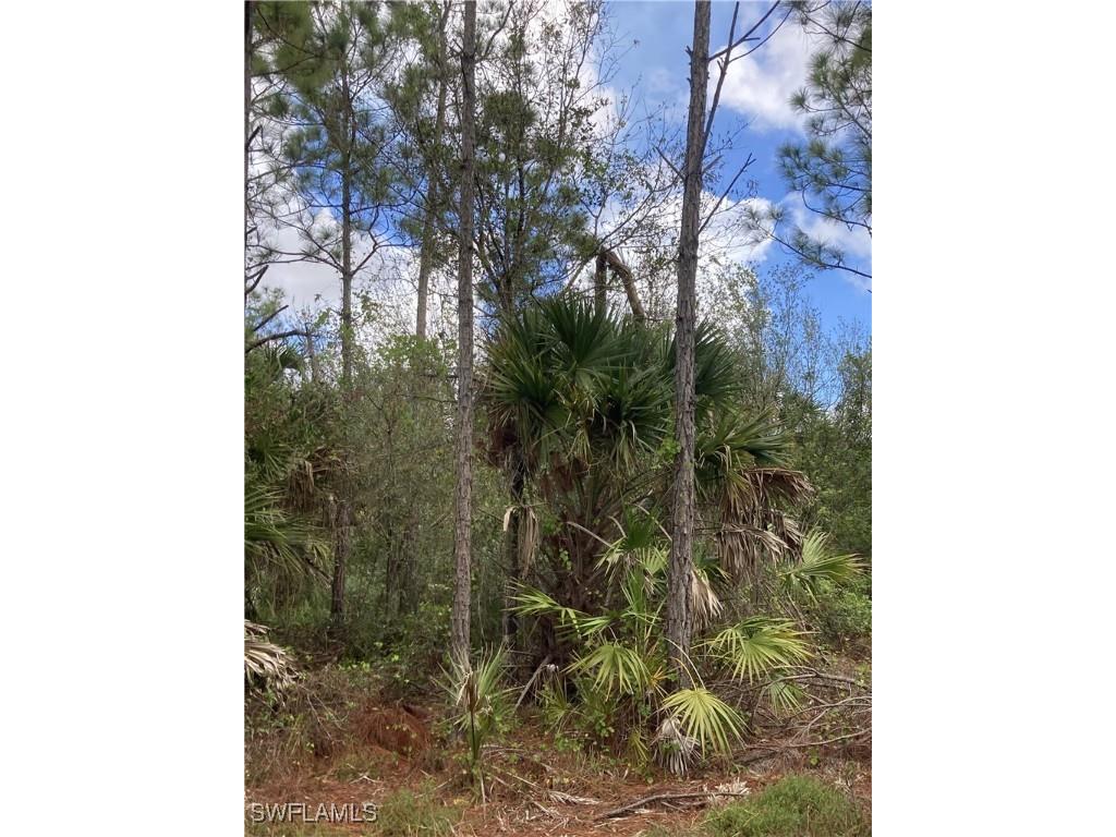 26373 & 26377 Deer Road Punta Gorda FL 33955 224071088 image12