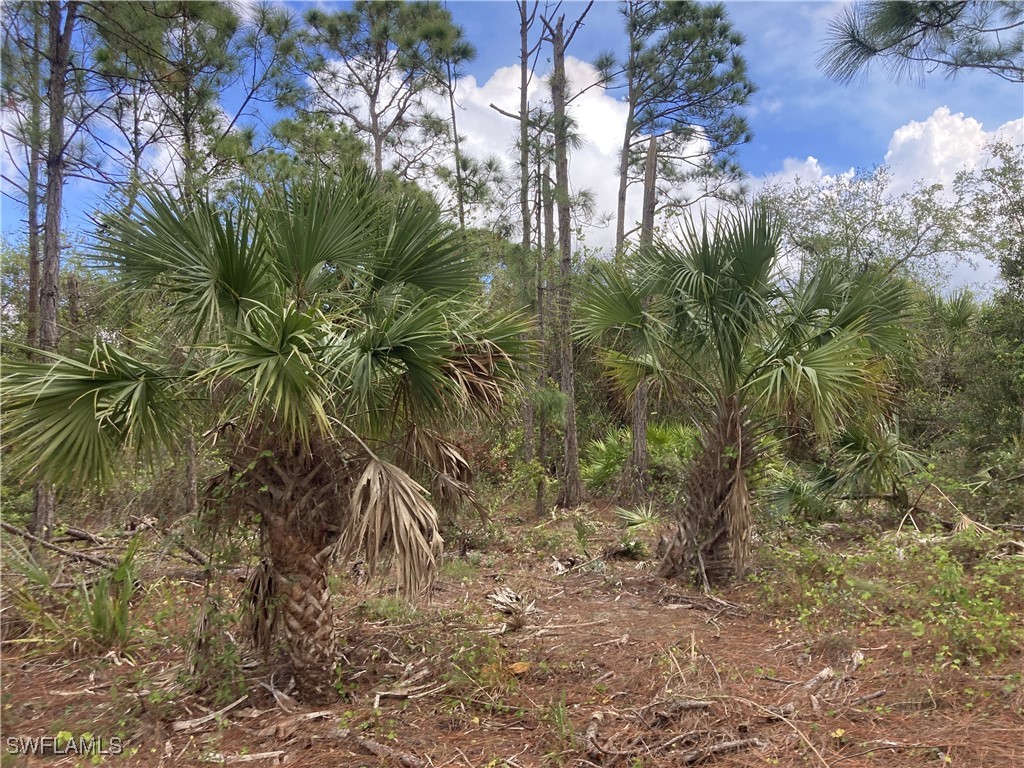 26373 & 26377 Deer Road Punta Gorda FL 33955 224071088 image13