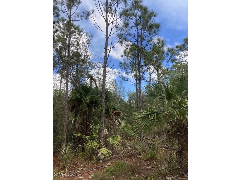 26373 & 26377 Deer Road Punta Gorda FL 33955 224071088 image14