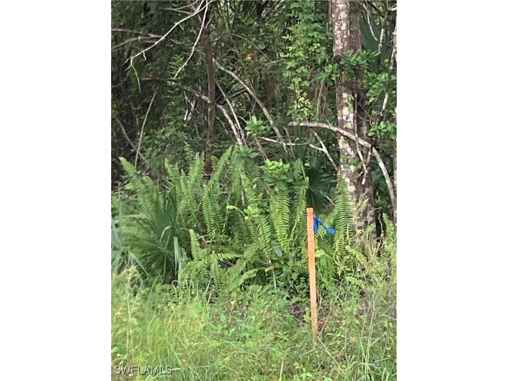 26373 & 26377 Deer Road Punta Gorda FL 33955 224071088 image7