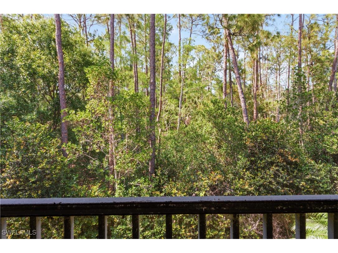 26425 Lucky Stone Road #201 Bonita Springs FL 34135 225055818 image11