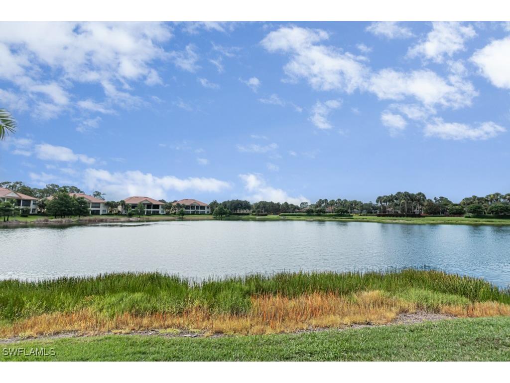26448 Lucky Stone Road #202 Bonita Springs FL 34135 225058830 image47