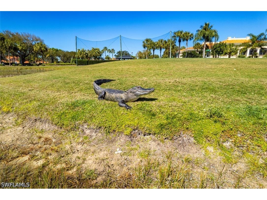 26483 Bonita Fairways Boulevard Bonita Springs FL 34135 226017771 image43