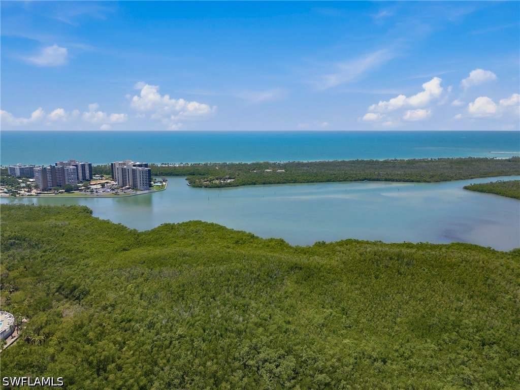 265 Indies Way #1004 Naples FL 34110 226018417 image29