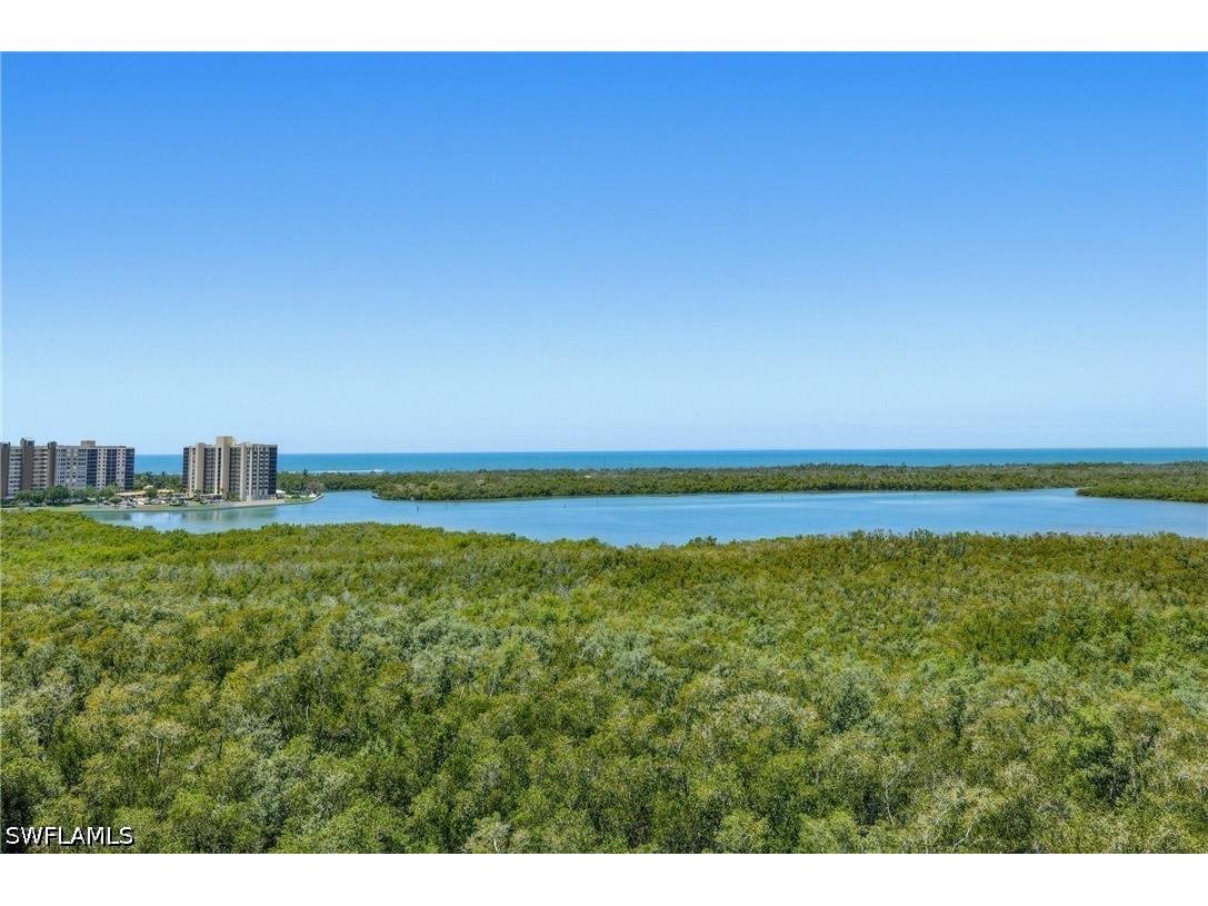 265 Indies Way #1004 Naples FL 34110 226018417 image30