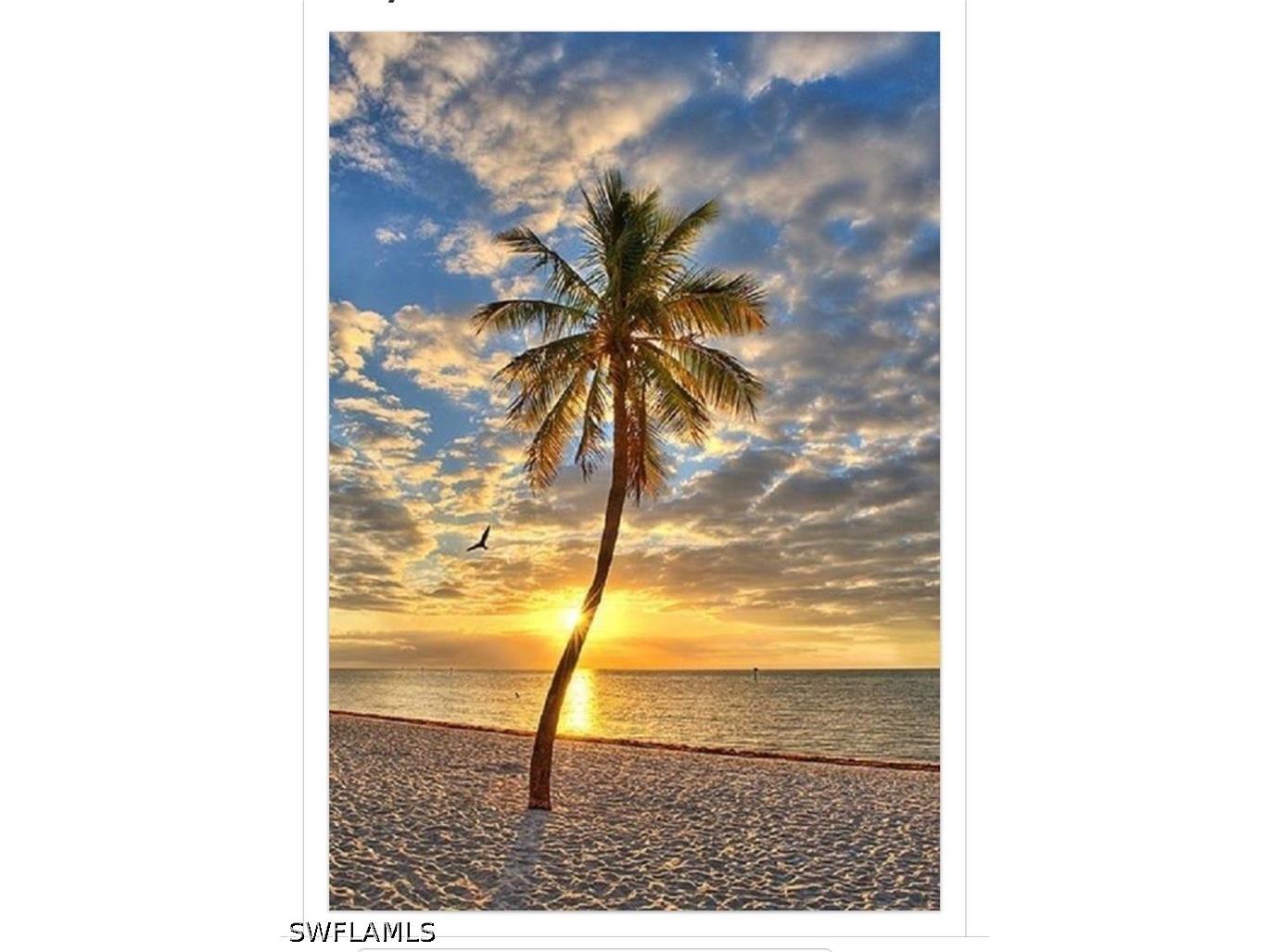 266 Barefoot Beach Boulevard #504 Bonita Springs FL 34134 226020092 image50