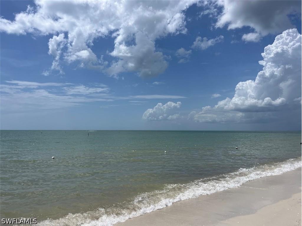 26600 Rosewood Point Drive #102 Bonita Springs FL 33145 226013873 image31