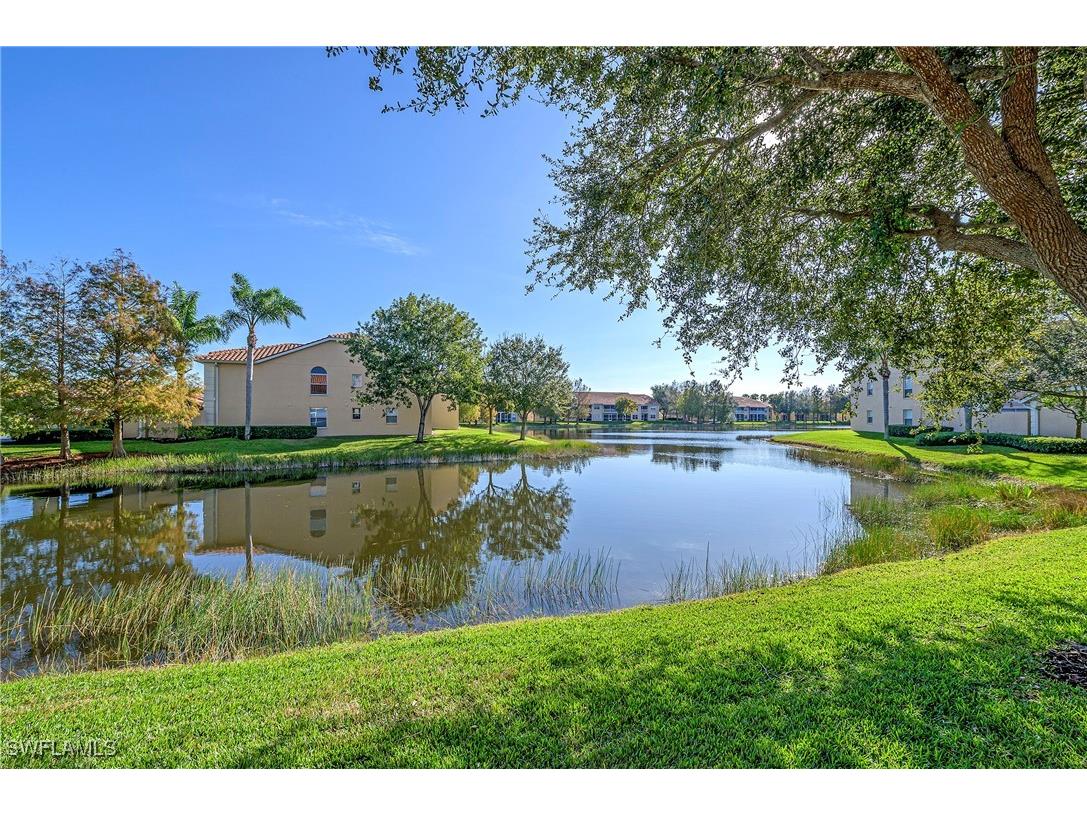 26651 Rosewood Pointe Circle #203 Bonita Springs FL 34135 225063906 image20