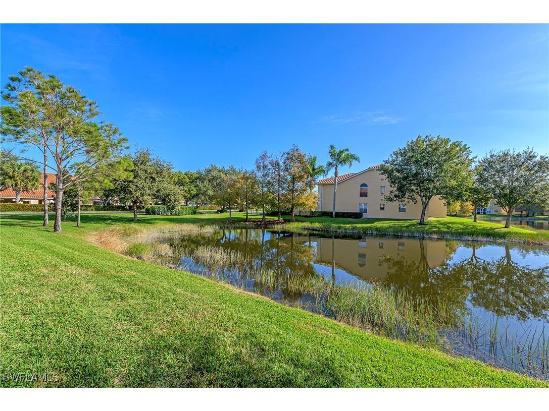 26651 Rosewood Pointe Circle #203 Bonita Springs FL 34135 225063906 image21