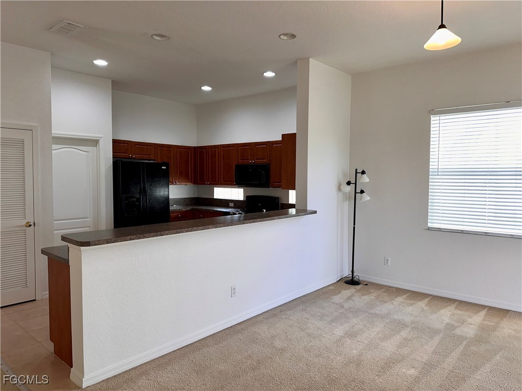 2669 Blue Cypress Lake Court Cape Coral FL 33909 2025017566 image6