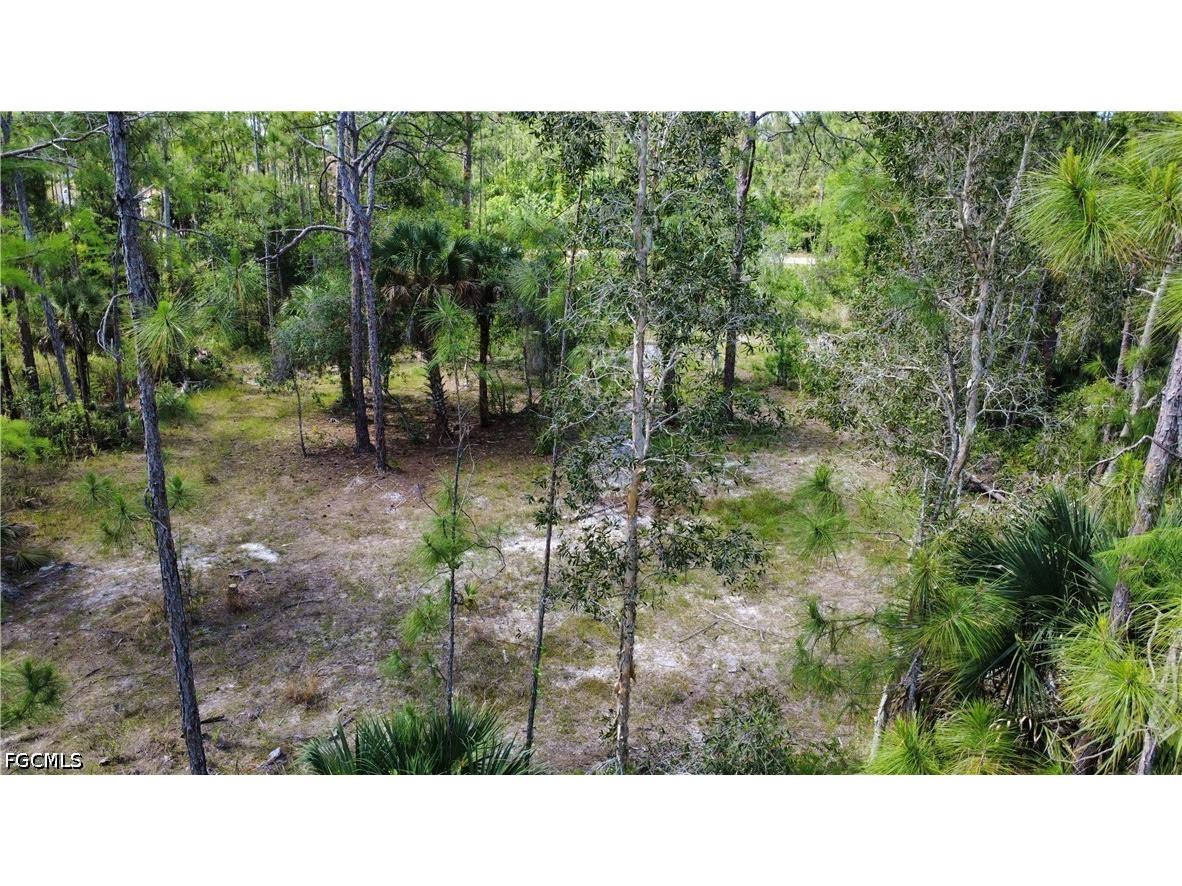 267 Woodburn Drive Lehigh Acres FL 33972 2026004170 image3