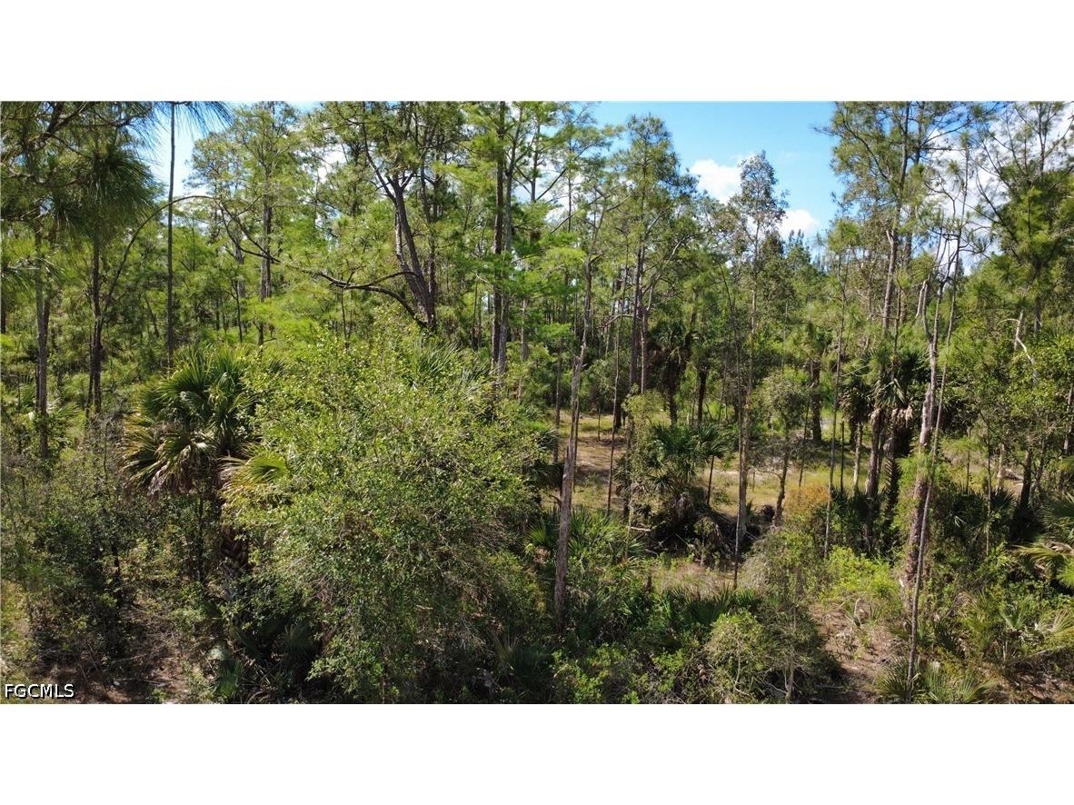 267 Woodburn Drive Lehigh Acres FL 33972 2026004170 image4