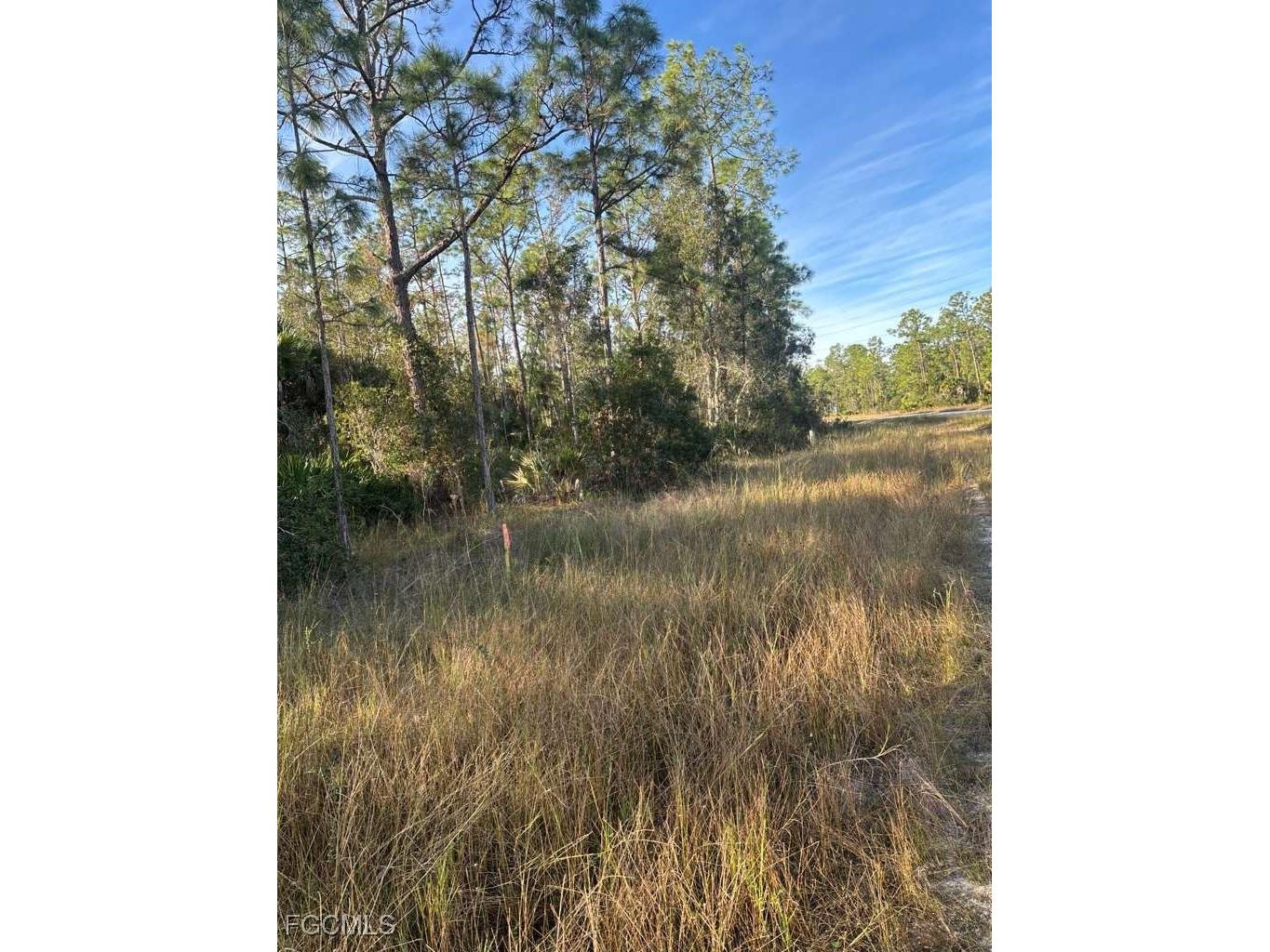 267 Woodburn Drive Lehigh Acres FL 33972 2026004170 image5