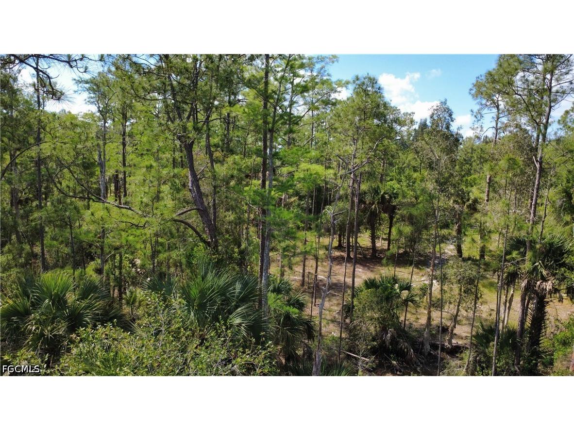 267 Woodburn Drive Lehigh Acres FL 33972 2026004170 image6
