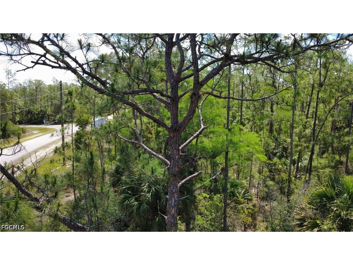 267 Woodburn Drive Lehigh Acres FL 33972 2026004170 image7