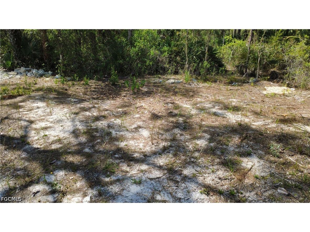 267 Woodburn Drive Lehigh Acres FL 33972 2026004170 image9