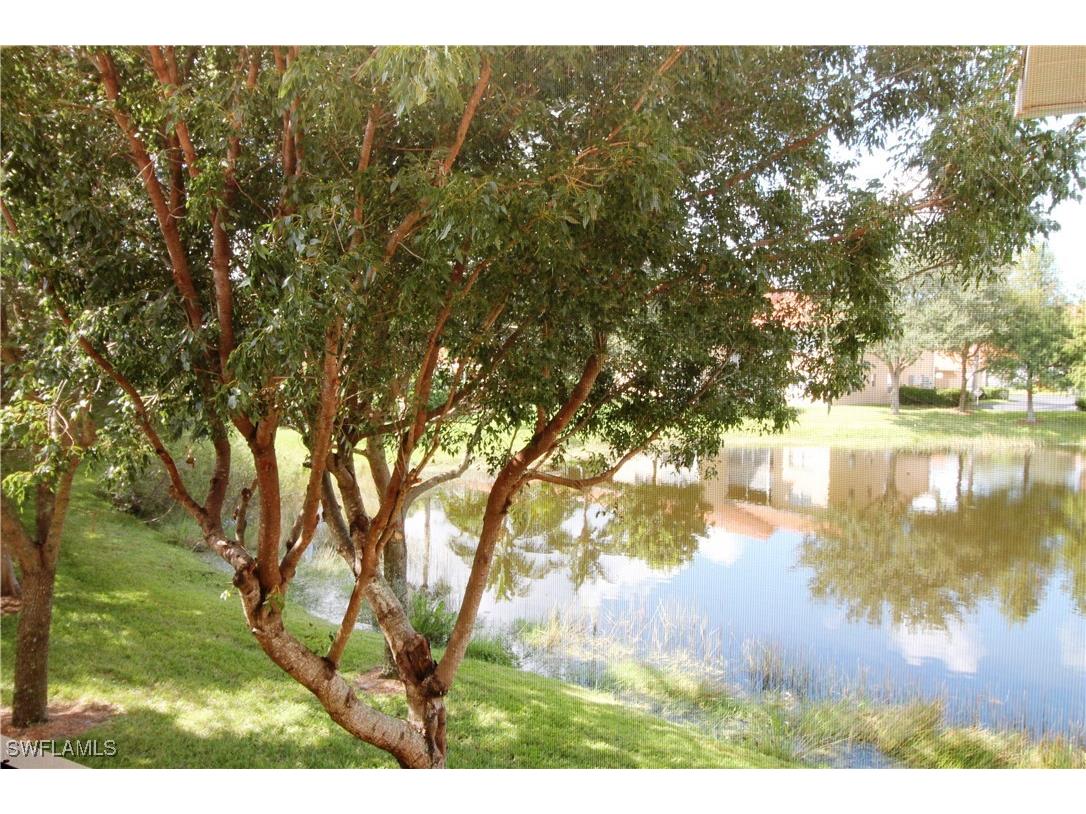 26760 Rosewood Pointe Lane #201 Bonita Springs FL 34135 225040124 image18